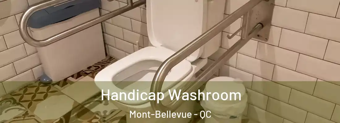  Handicap Washroom Mont-Bellevue - QC