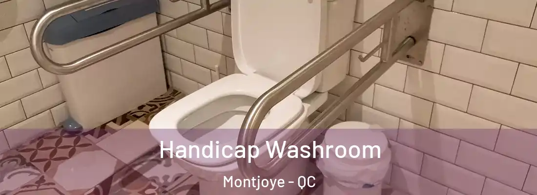 Handicap Washroom Montjoye - QC