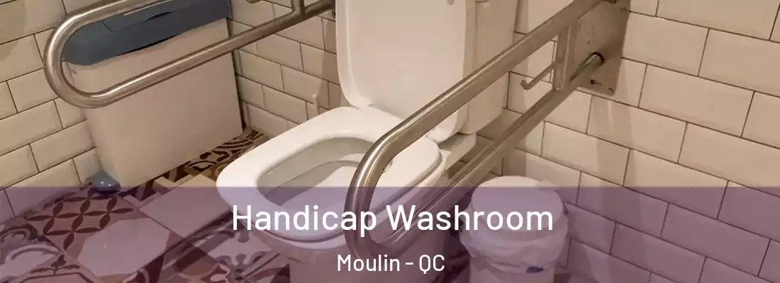  Handicap Washroom Moulin - QC