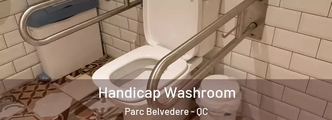  Handicap Washroom Parc Belvedere - QC