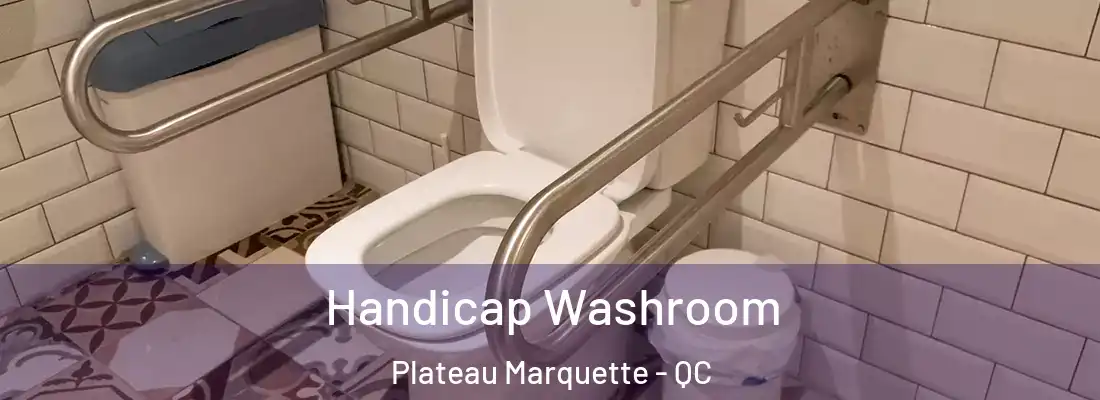  Handicap Washroom Plateau Marquette - QC