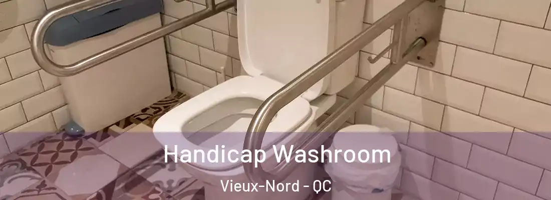  Handicap Washroom Vieux-Nord - QC