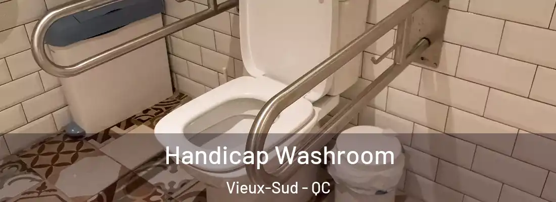  Handicap Washroom Vieux-Sud - QC