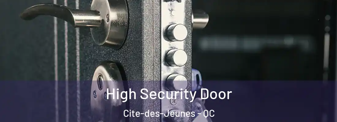  High Security Door Cite-des-Jeunes - QC