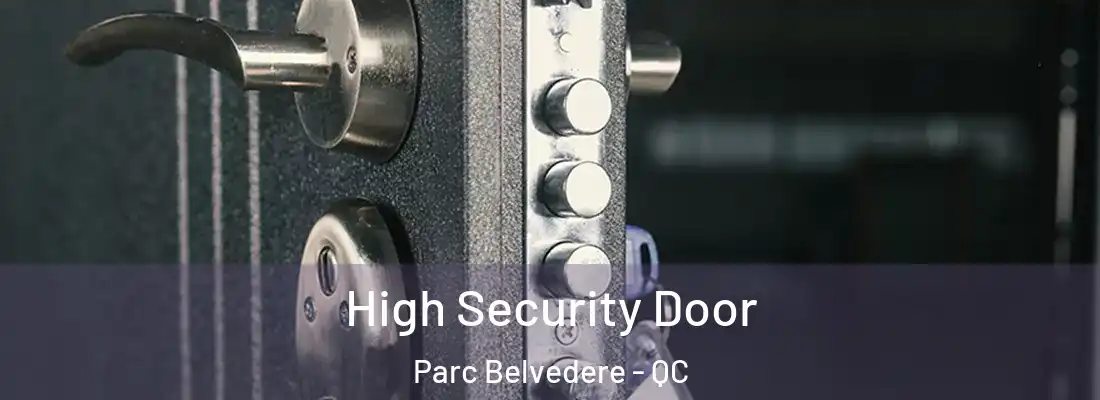  High Security Door Parc Belvedere - QC