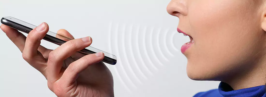 Residential and Commercial Voice Recognition Access Solutions in Jacques-Cartier, QC