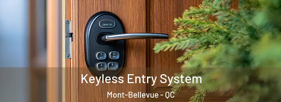  Keyless Entry System Mont-Bellevue - QC