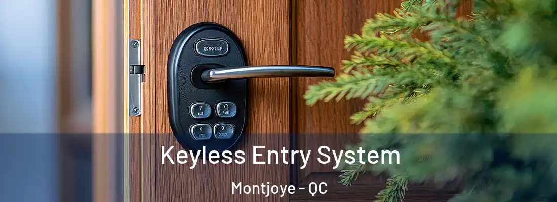  Keyless Entry System Montjoye - QC