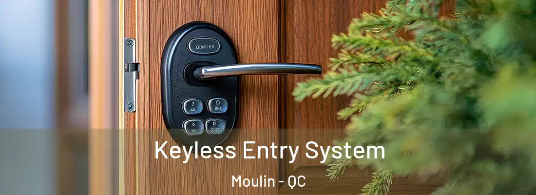  Keyless Entry System Moulin - QC