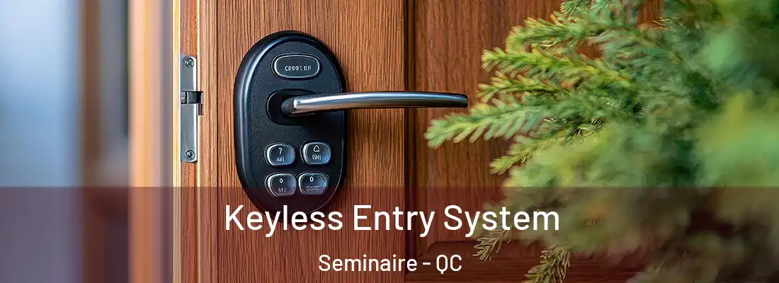  Keyless Entry System Seminaire - QC