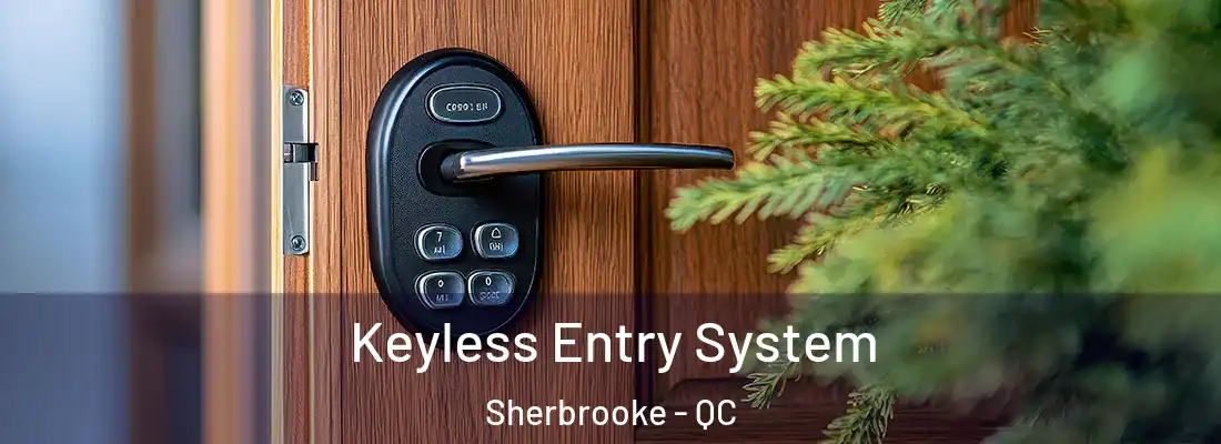  Keyless Entry System Sherbrooke - QC