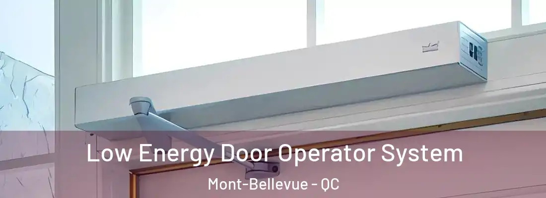  Low Energy Door Operator System Mont-Bellevue - QC