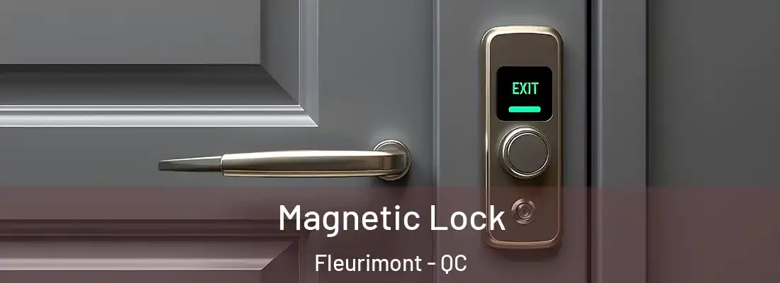  Magnetic Lock Fleurimont - QC