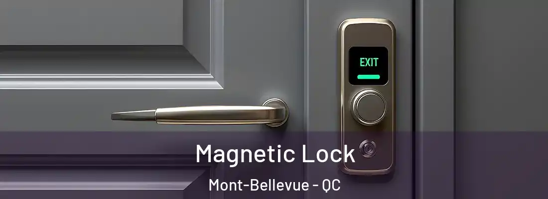  Magnetic Lock Mont-Bellevue - QC