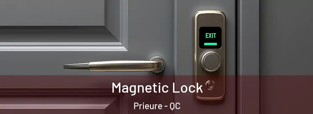  Magnetic Lock Prieure - QC