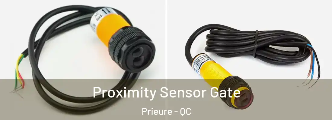  Proximity Sensor Gate Prieure - QC