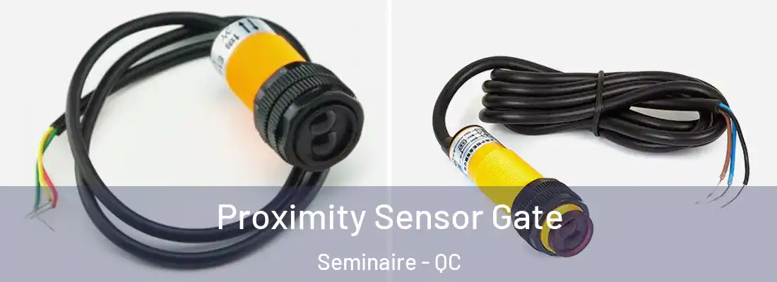  Proximity Sensor Gate Seminaire - QC