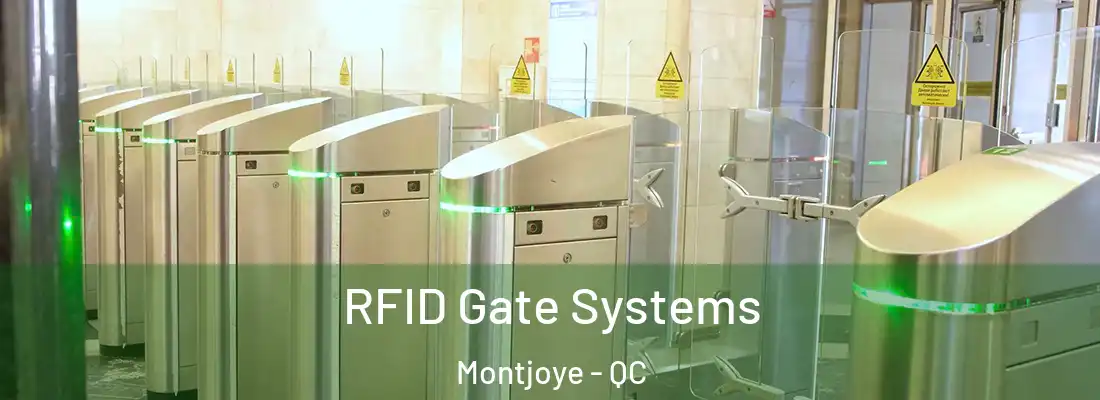  RFID Gate Systems Montjoye - QC
