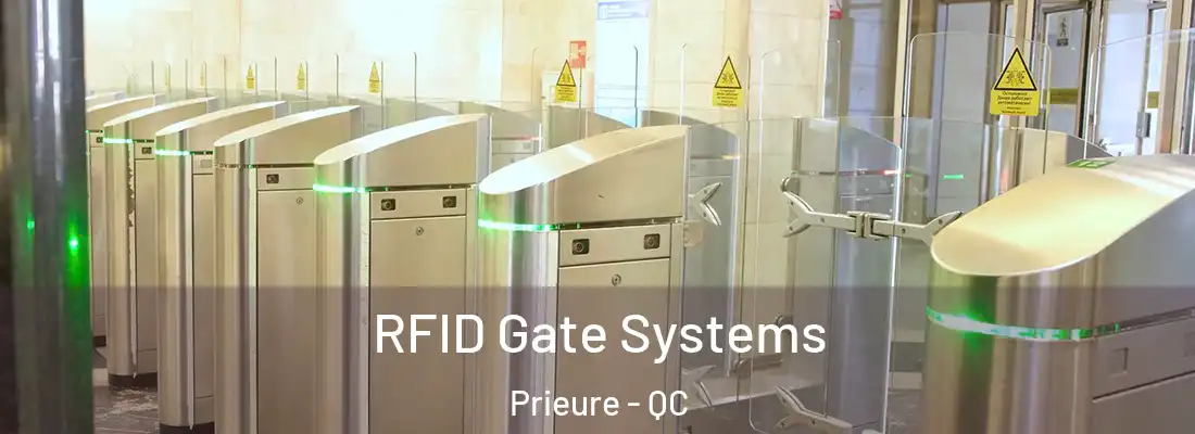  RFID Gate Systems Prieure - QC
