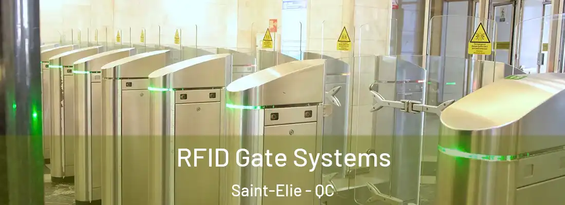  RFID Gate Systems Saint-Elie - QC