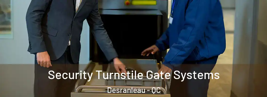  Security Turnstile Gate Systems Desranleau - QC