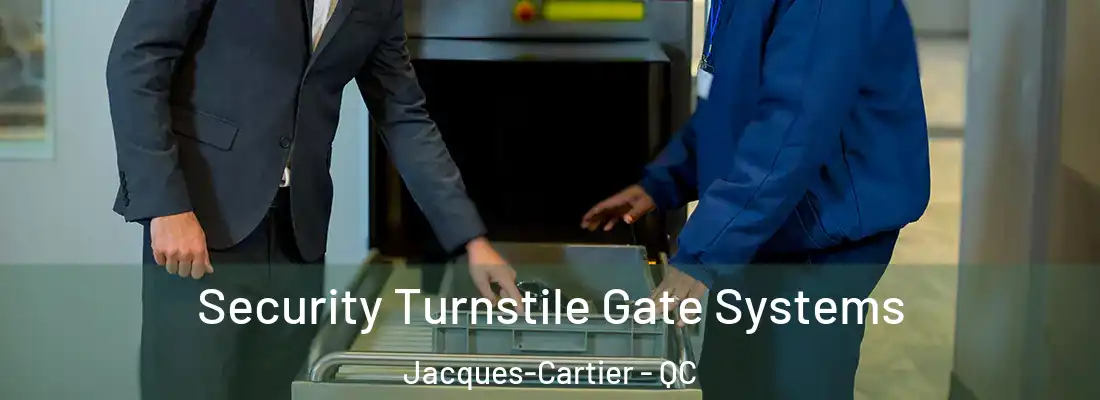  Security Turnstile Gate Systems Jacques-Cartier - QC