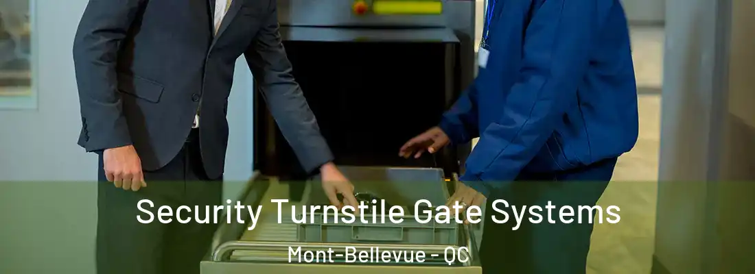  Security Turnstile Gate Systems Mont-Bellevue - QC