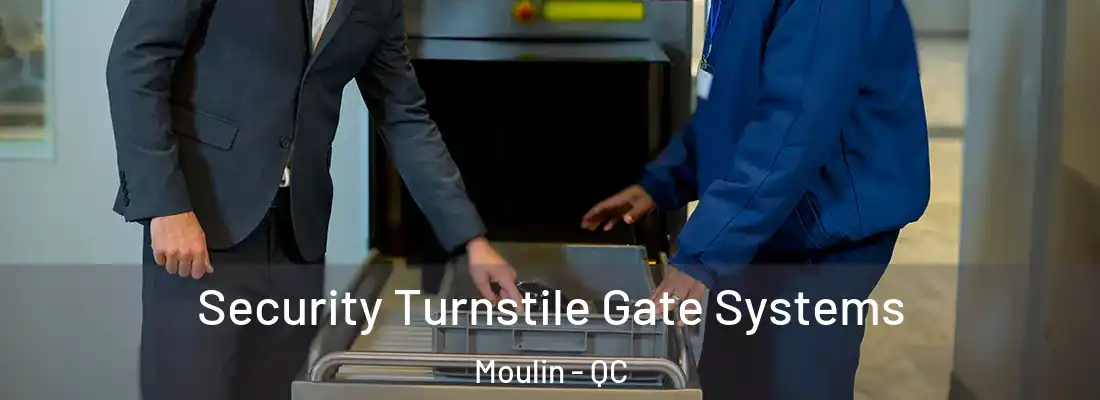  Security Turnstile Gate Systems Moulin - QC