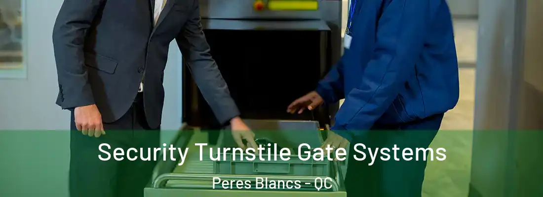  Security Turnstile Gate Systems Peres Blancs - QC