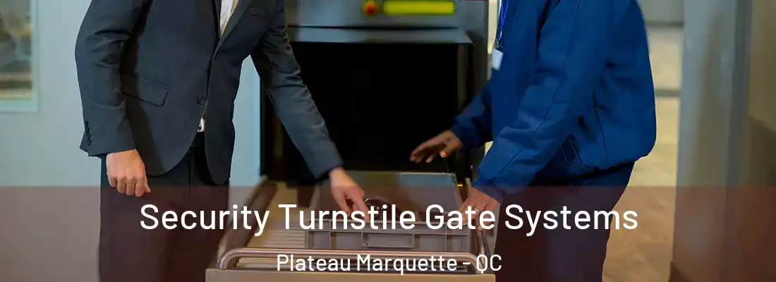 Security Turnstile Gate Systems Plateau Marquette - QC