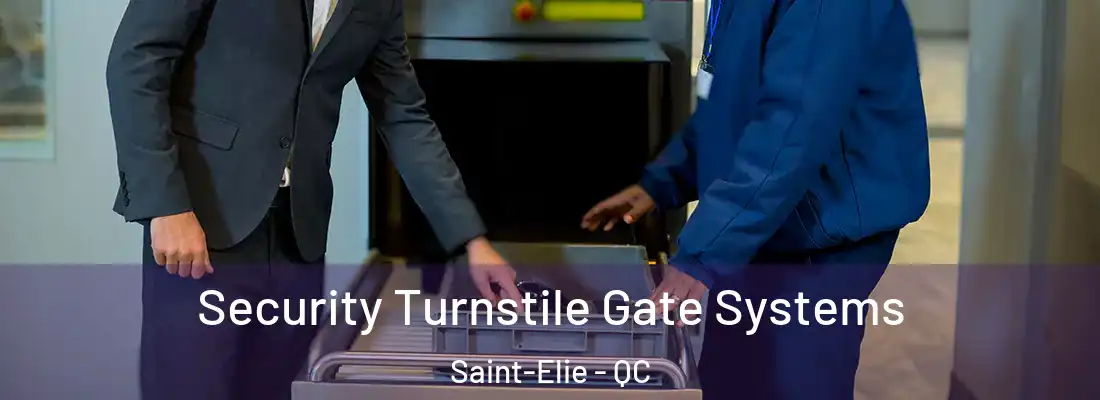  Security Turnstile Gate Systems Saint-Elie - QC