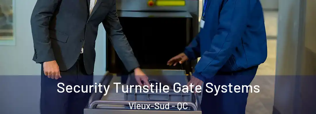  Security Turnstile Gate Systems Vieux-Sud - QC