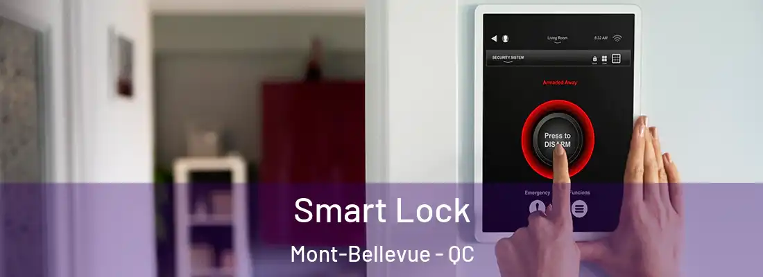 Smart Lock Mont-Bellevue - QC