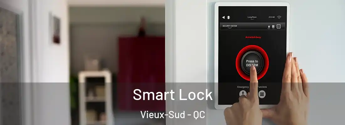 Smart Lock Vieux-Sud - QC