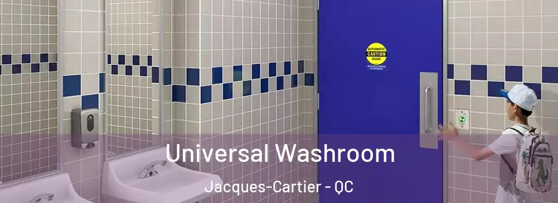  Universal Washroom Jacques-Cartier - QC