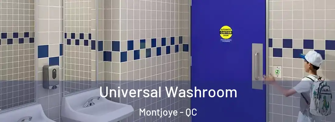 Universal Washroom Montjoye - QC