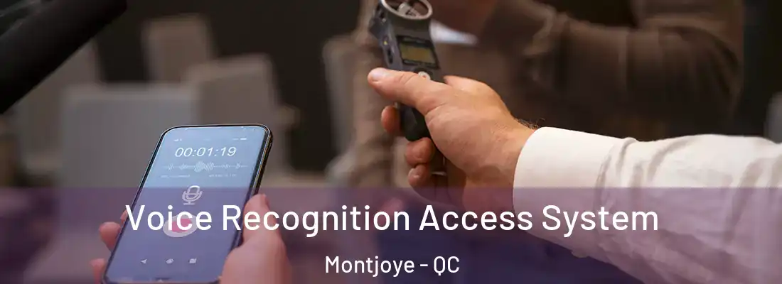  Voice Recognition Access System Montjoye - QC